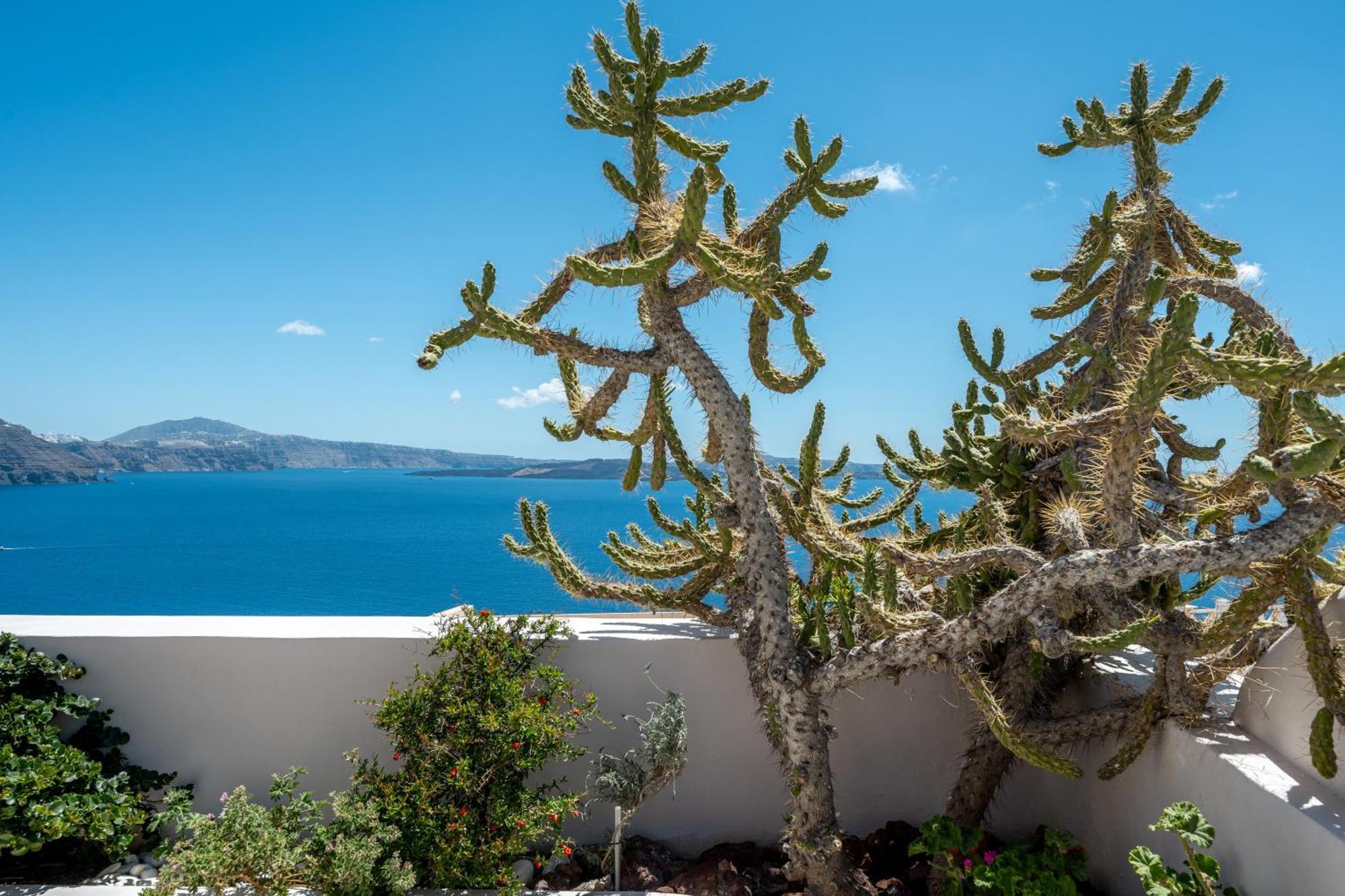 Passion Blue Villas Ía Eksteriør bilde